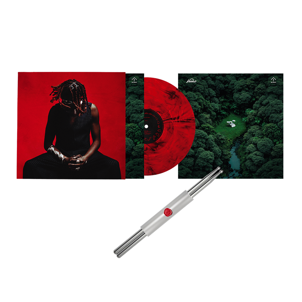 VINYLE DÉDICACÉ + BAGUETTES ARGENTÉES ÉDITION LIMITÉE